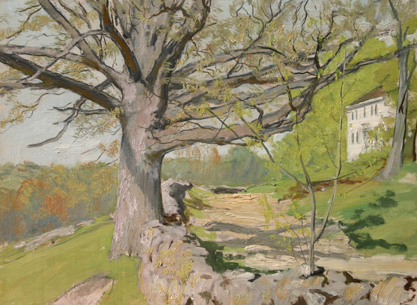 The Last View Home by Allen Butler Talcott